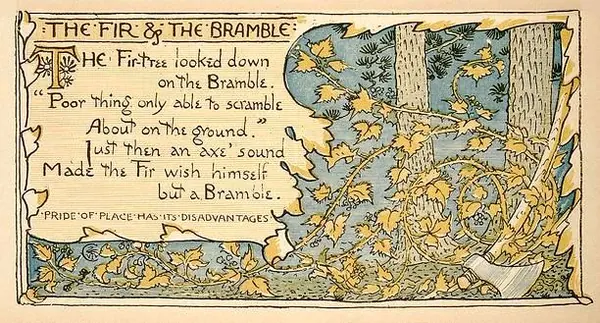 Capa de The Fir and the Bramble