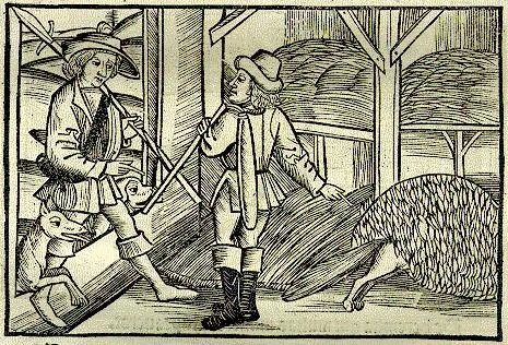 Portada de La zorra y el leñador
