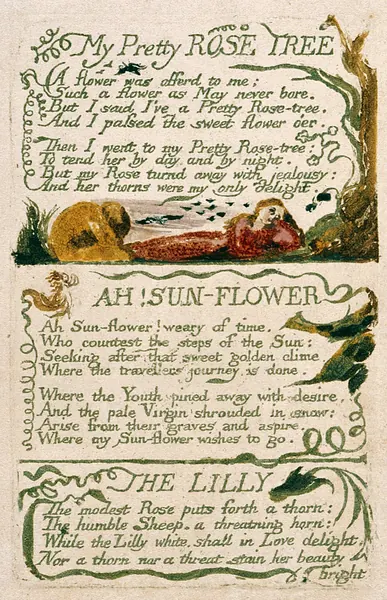 Portada de The Lilly