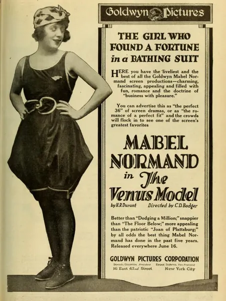 Capa de The Venus Model