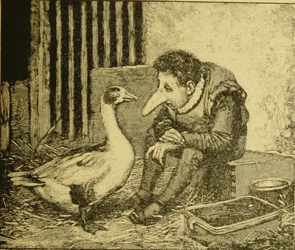 Cover of Dwarf Nose