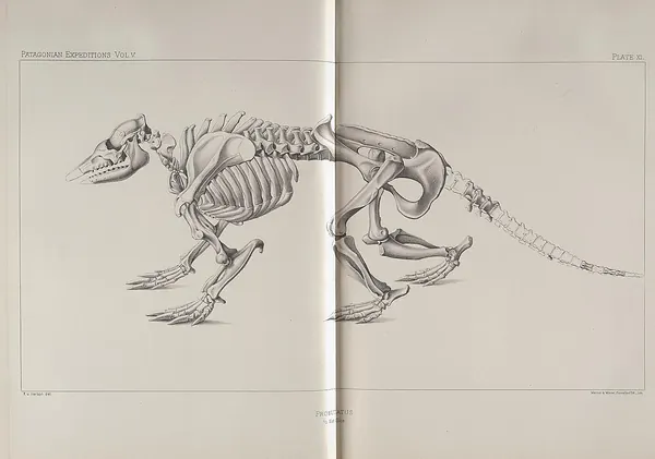 Capa de Reports of the Princeton University Expeditions to Patagonia, 1896-1899